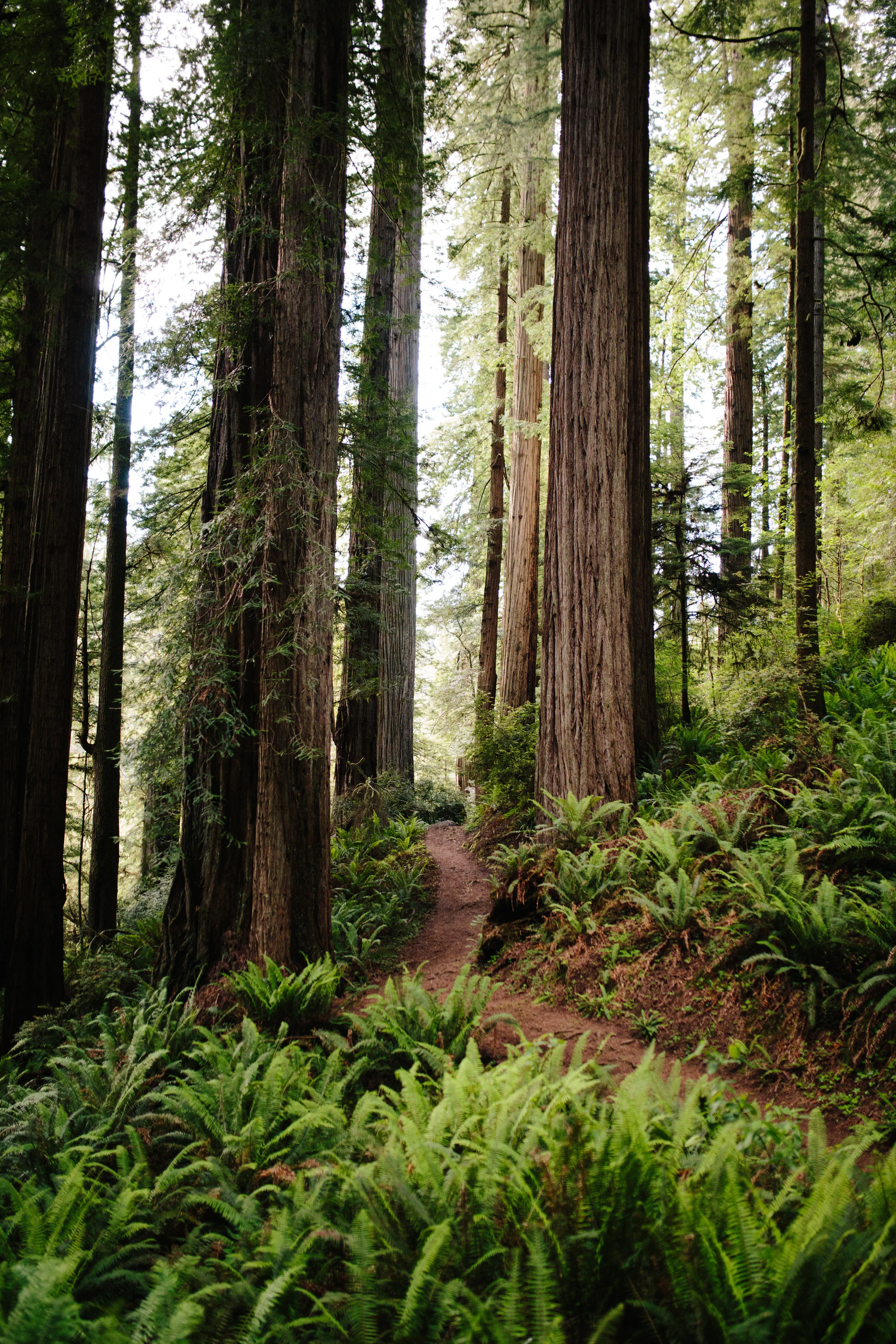 Pacific Northwest | California Photographer | Benjamin Hewitt Photography