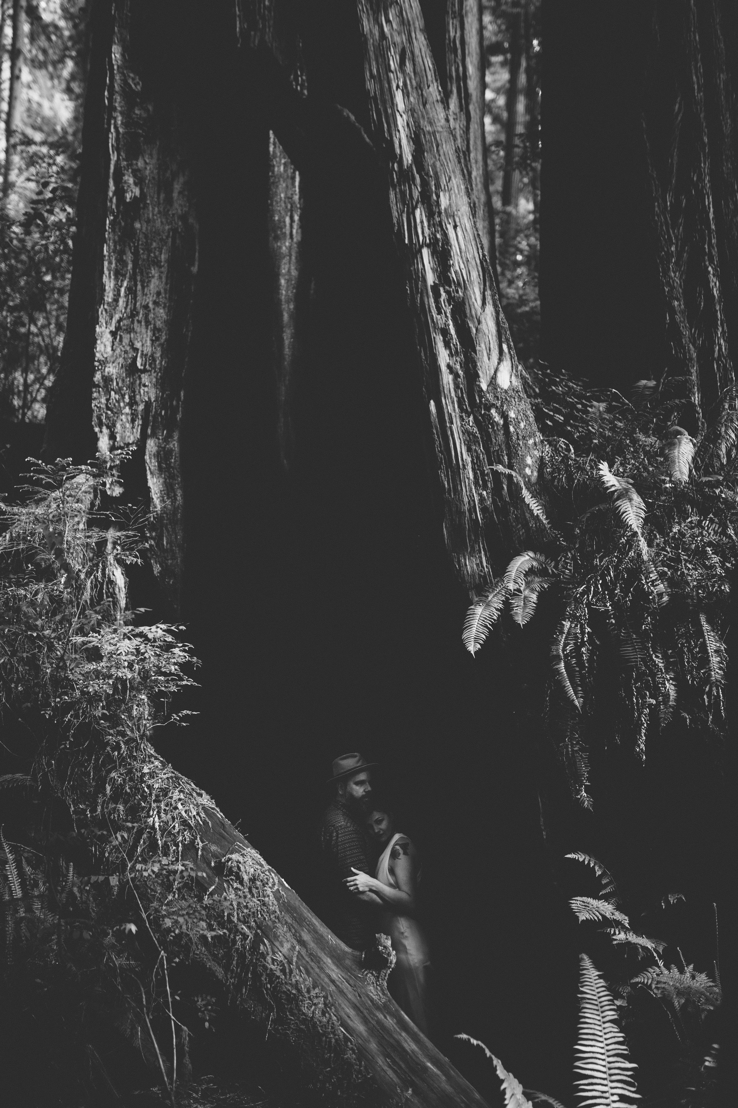 Pacific Northwest | California Photographer | Benjamin Hewitt Photography