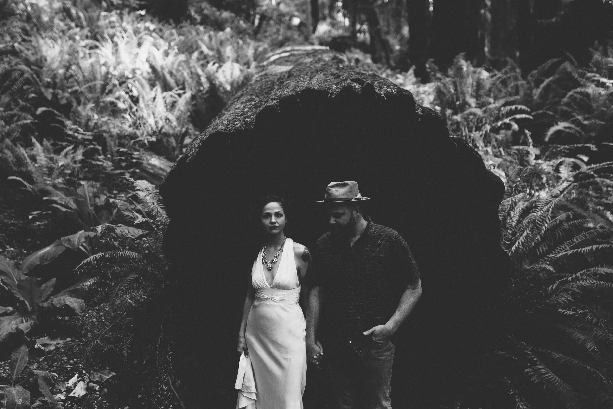 Pacific Northwest | California Photographer | Benjamin Hewitt Photography
