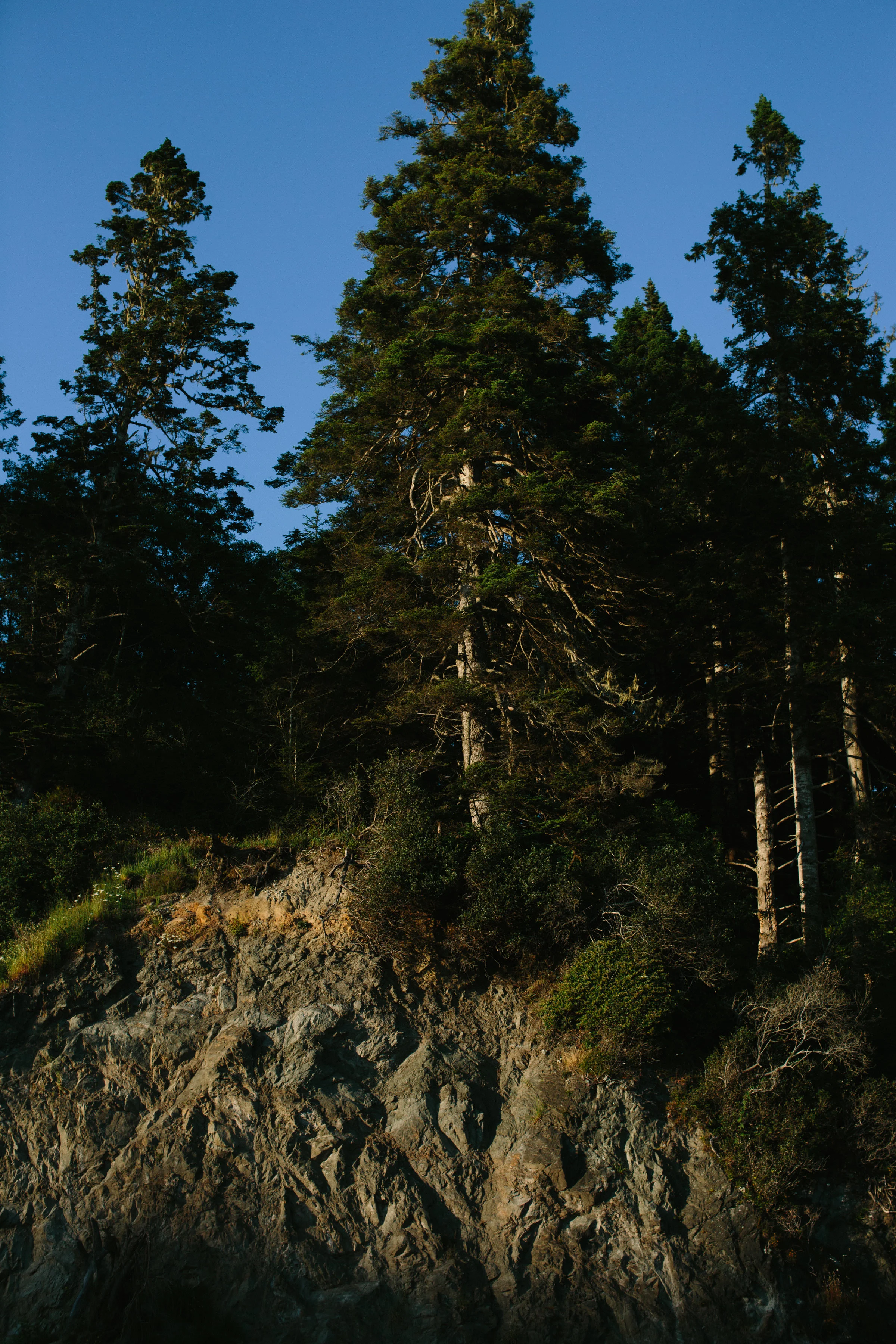 Pacific Northwest | California Photographer | Benjamin Hewitt Photography