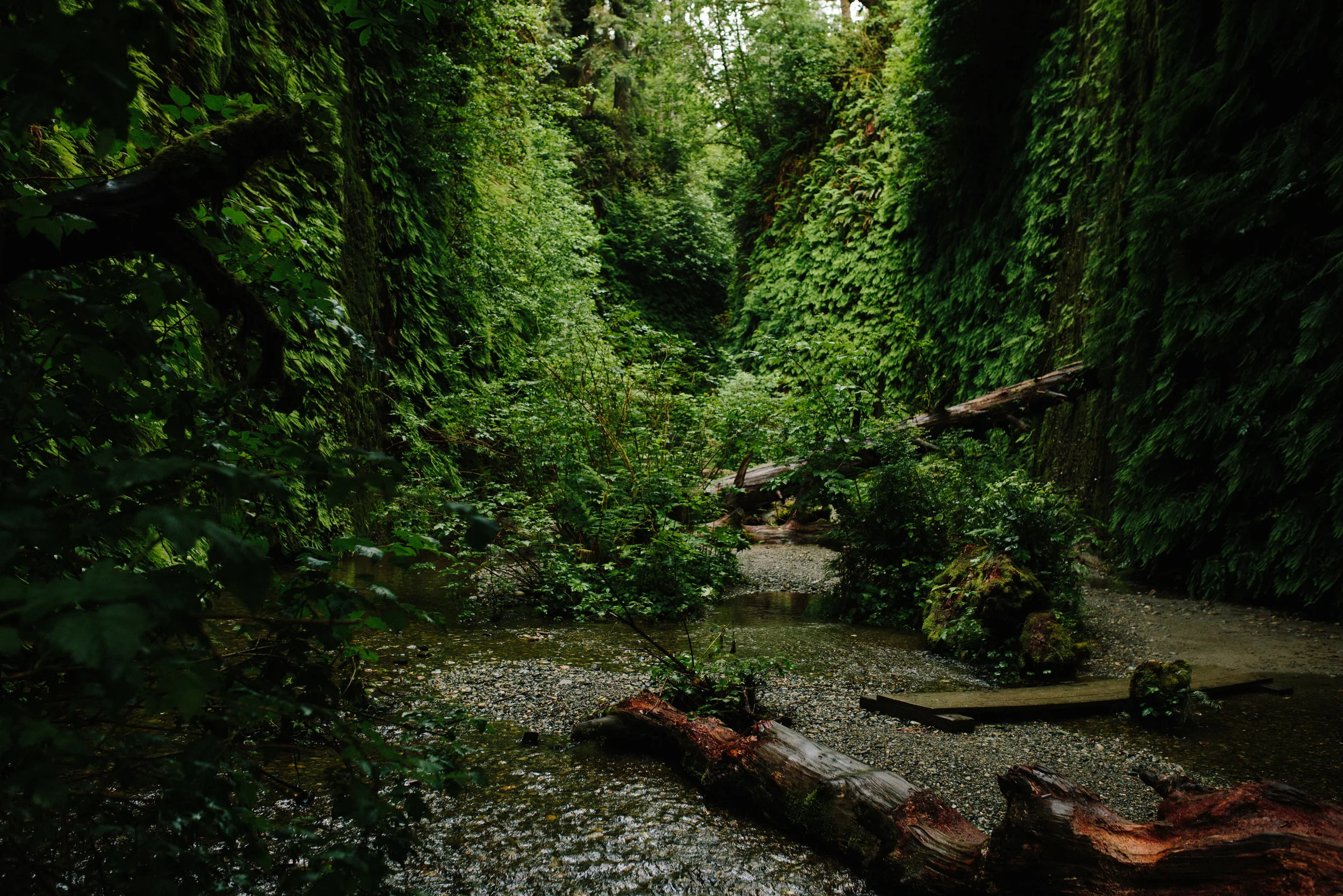 Pacific Northwest | California Photographer | Benjamin Hewitt Photography