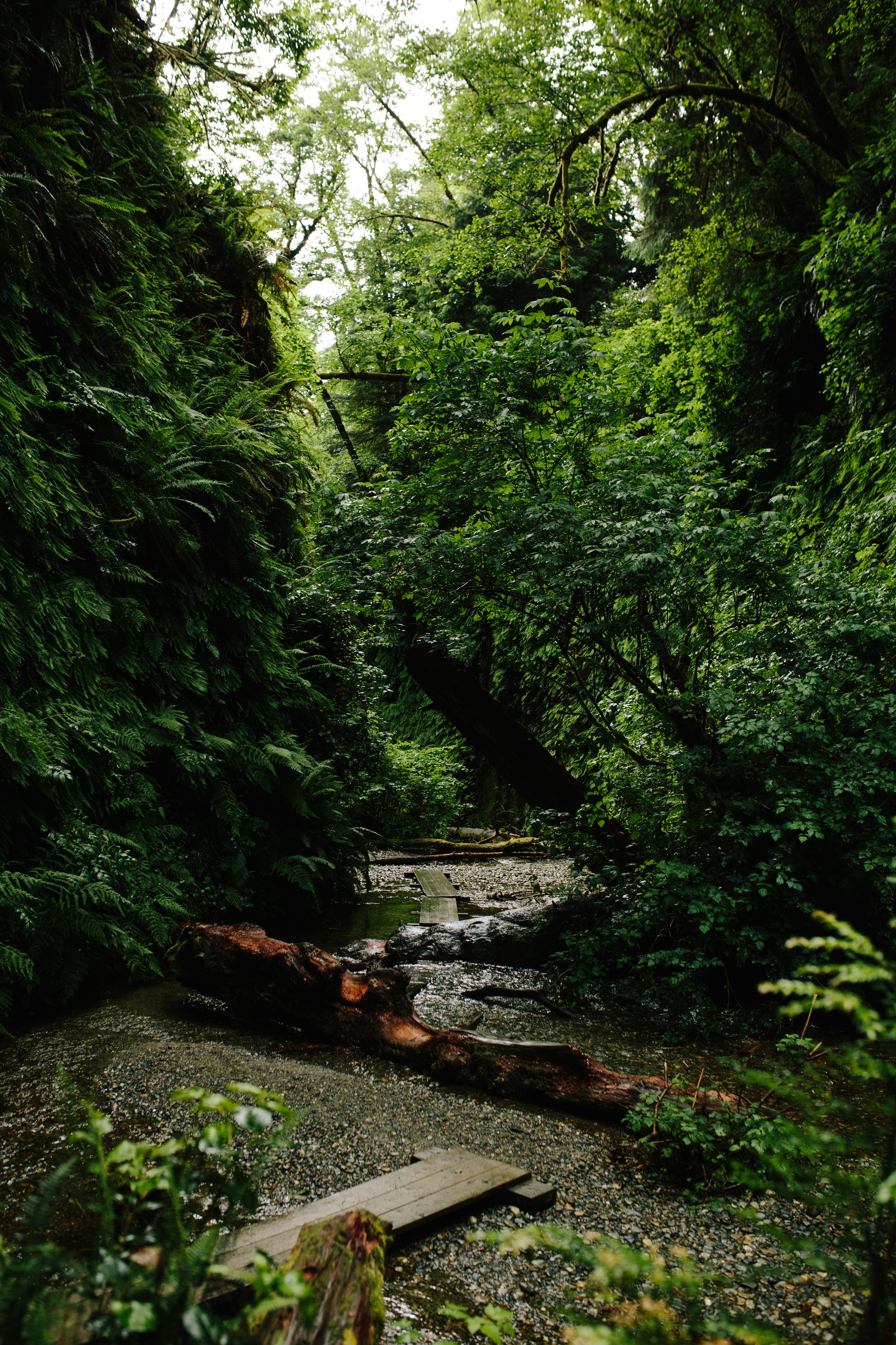 Pacific Northwest | California Photographer | Benjamin Hewitt Photography