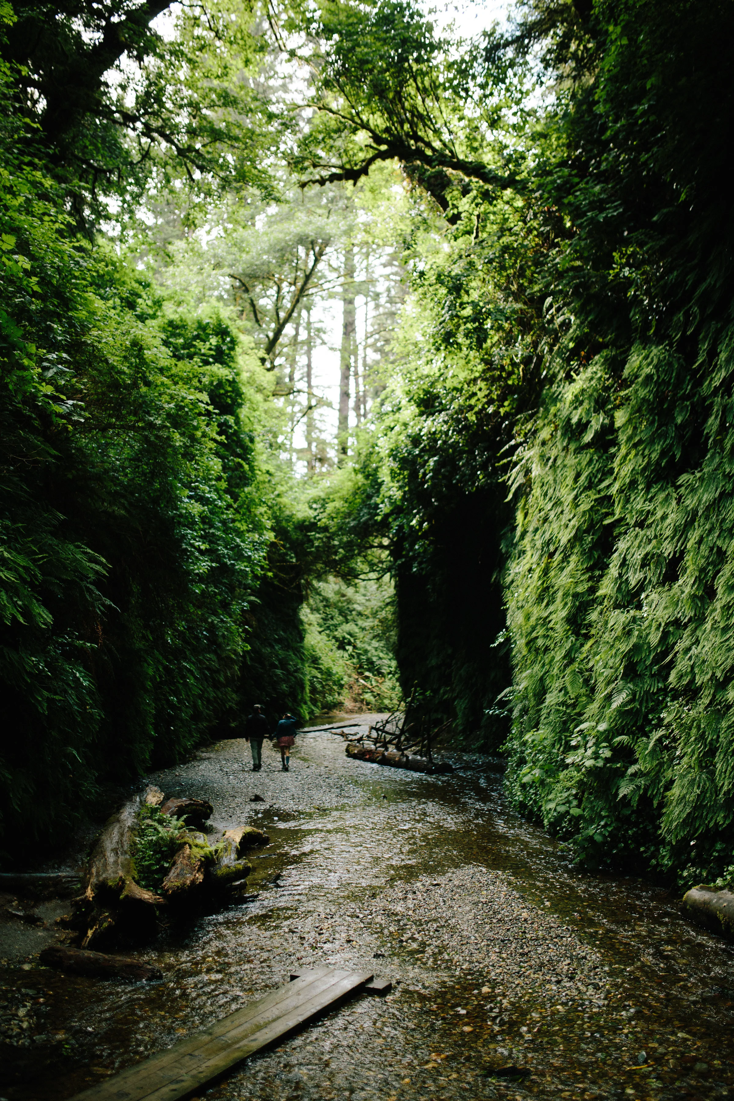 Pacific Northwest | California Photographer | Benjamin Hewitt Photography