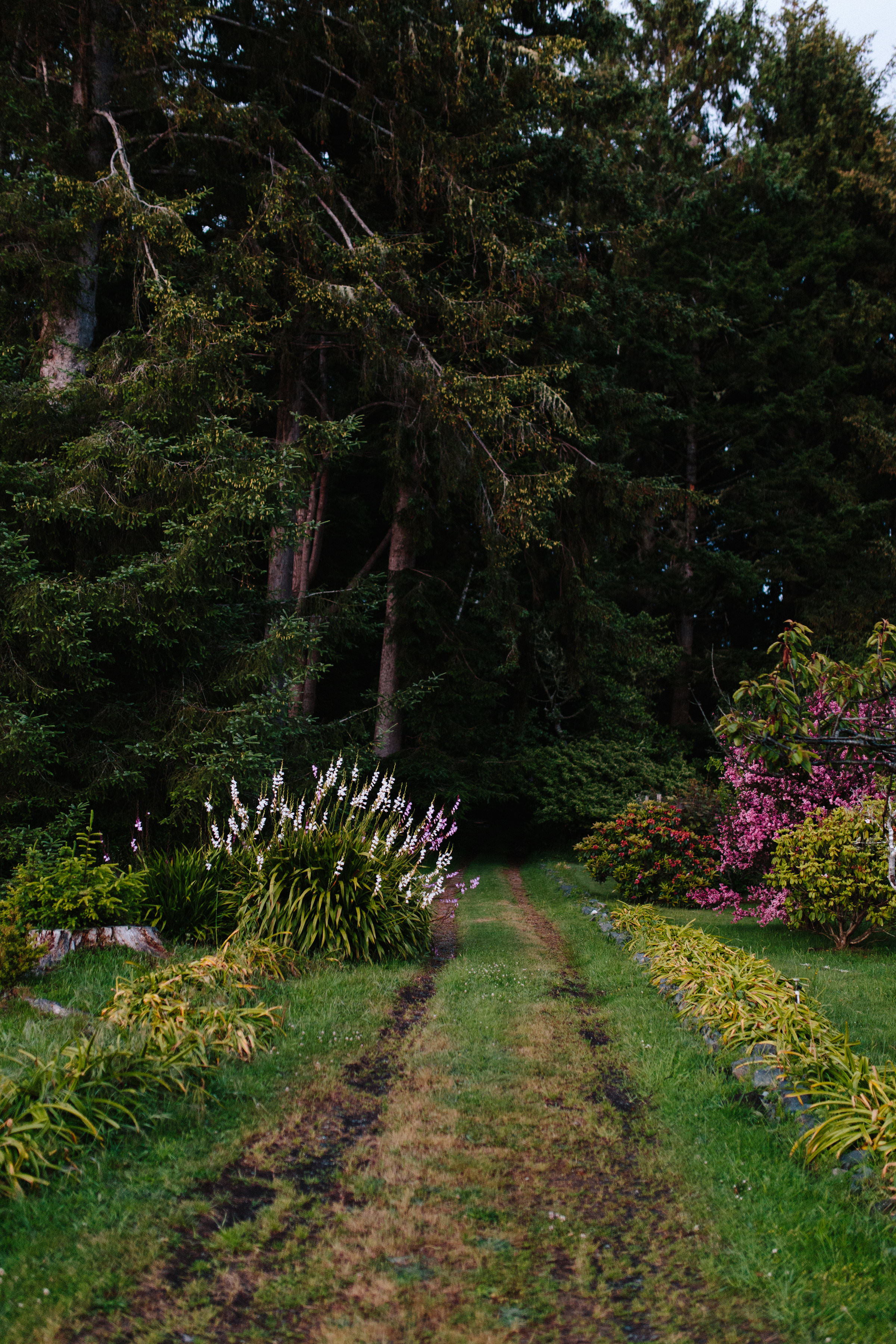 Pacific Northwest | California Photographer | Benjamin Hewitt Photography