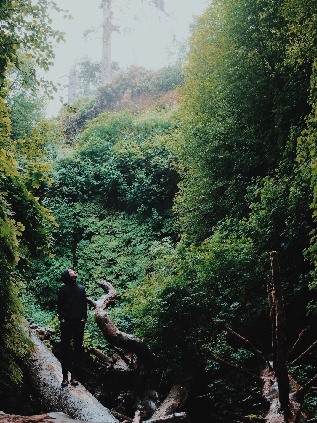  Processed with VSCO with c8 preset 