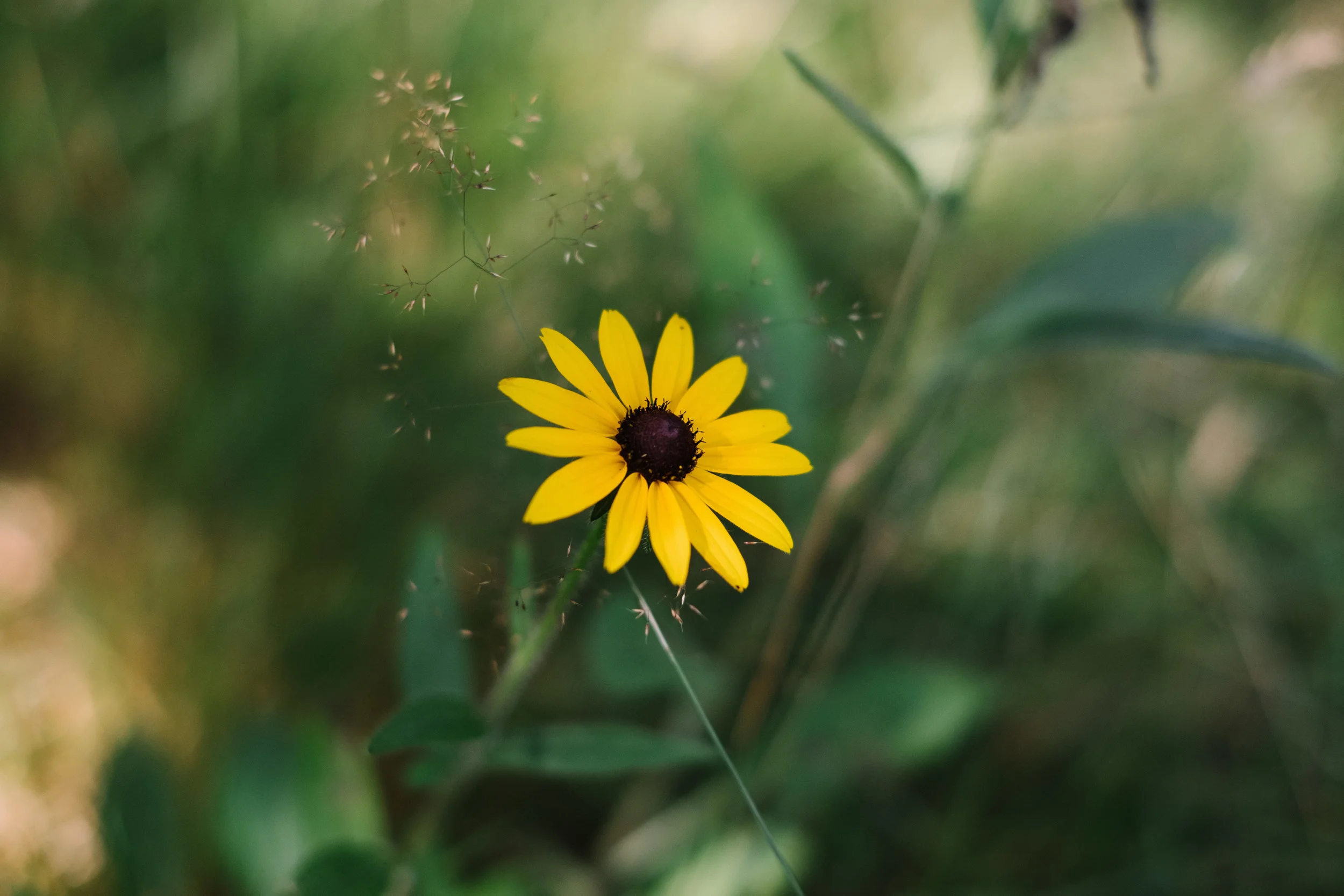 Vermont Wedding | Burke Mountain | Benjamin Hewitt Photography