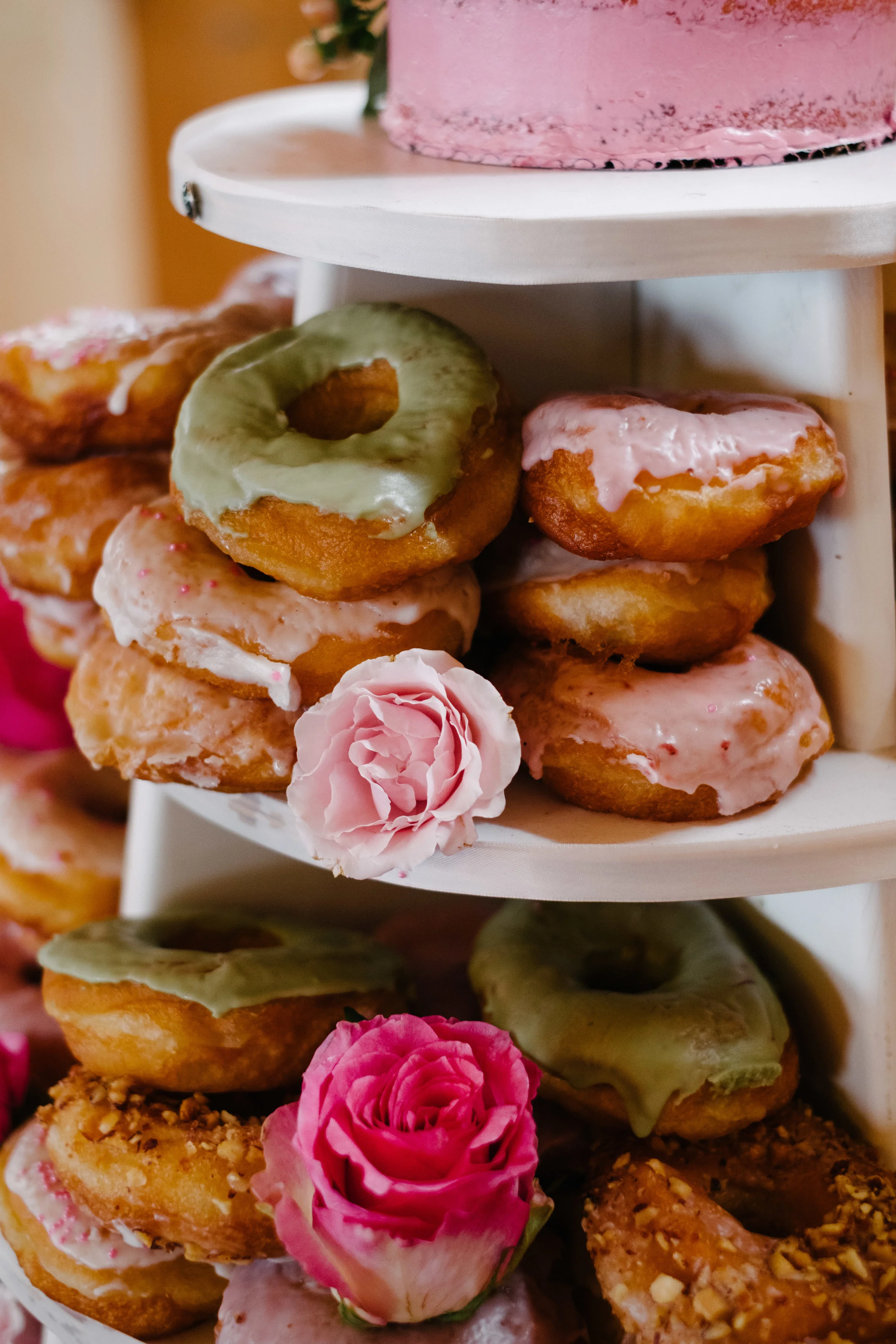 Vermont Wedding Photographer | Burke Mountain | Benjamin Hewitt Photography