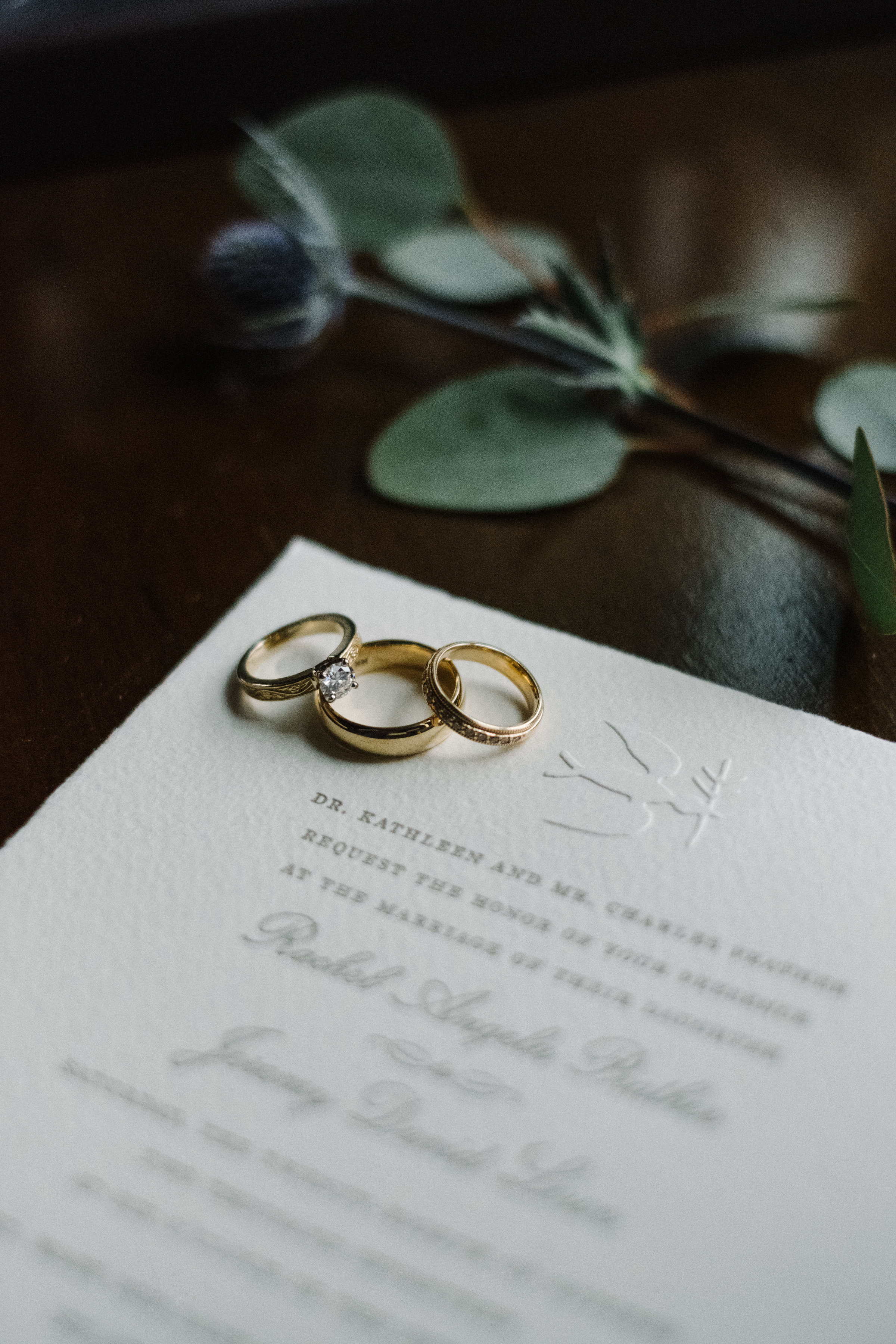 Wedding at the Birchwood - St. Pete, Florida - Benjamin Hewitt Photography