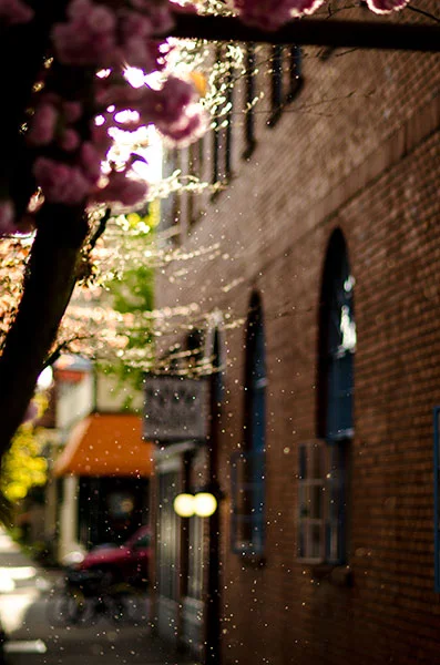 Photo by Tom Miller