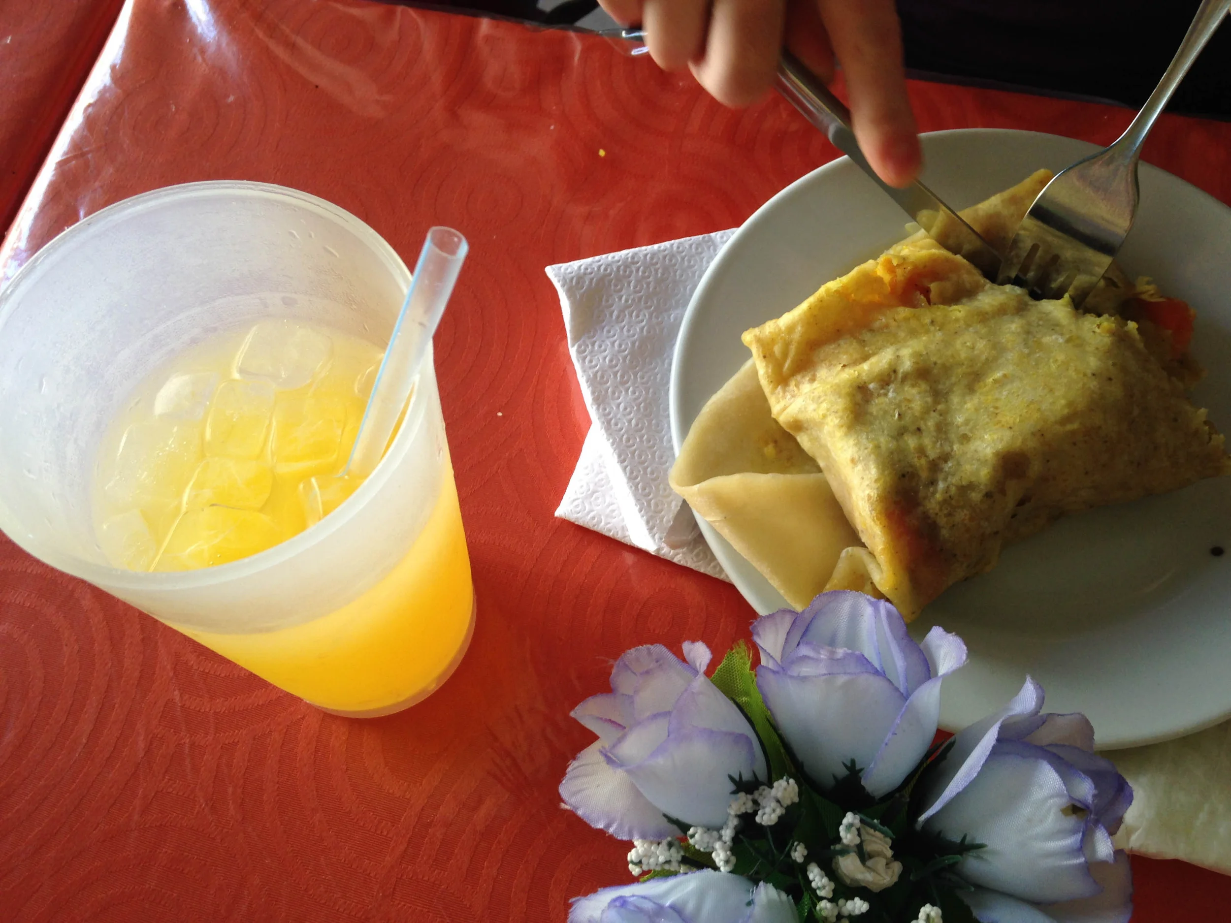 Mauby ( anise flavored drink , made from tree bark ) & Roti