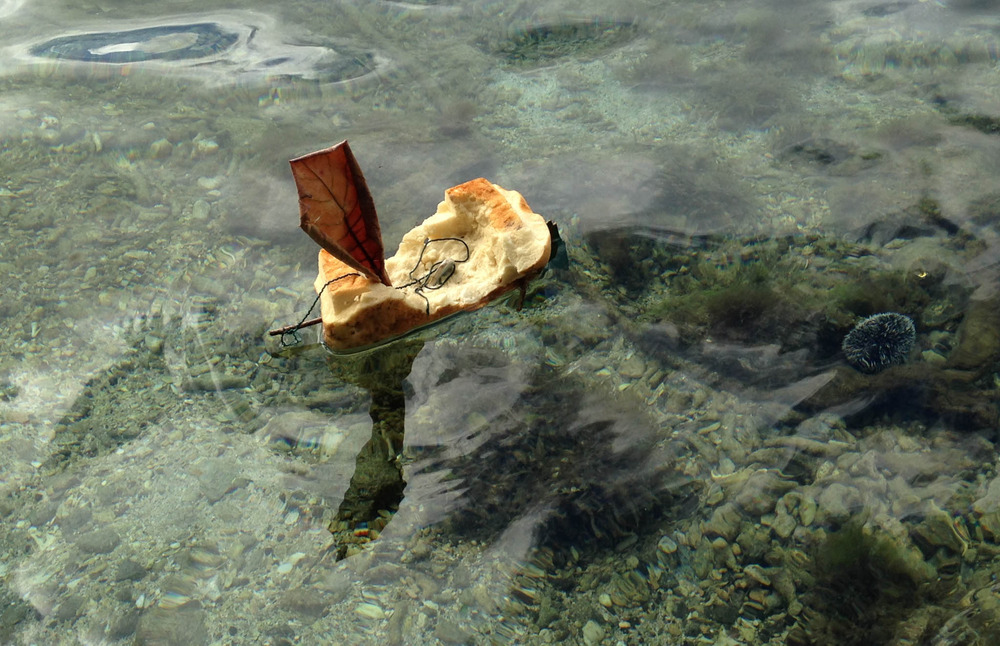 Coconut Boat Setting Sail