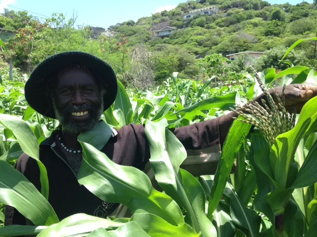 Bap with his corn.