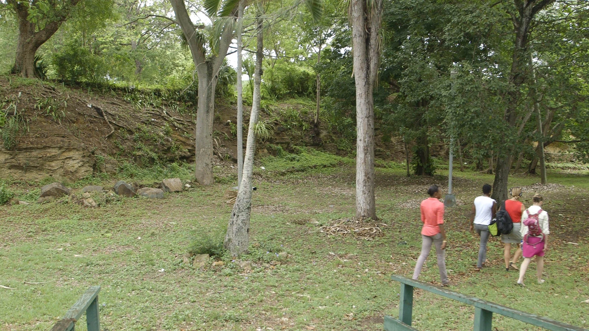 Walking in the Botanical Garden - Video Still, Tom Miller