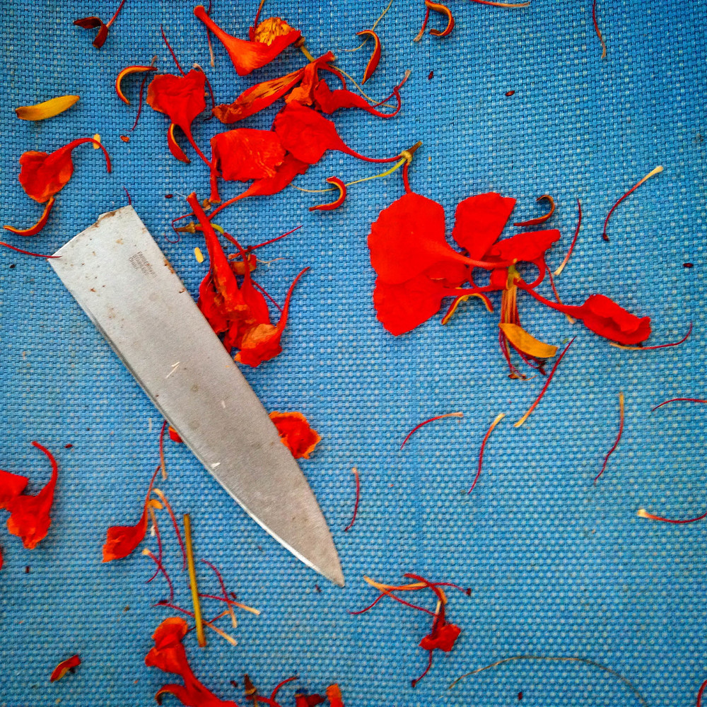 Flamboyant Petals Knife