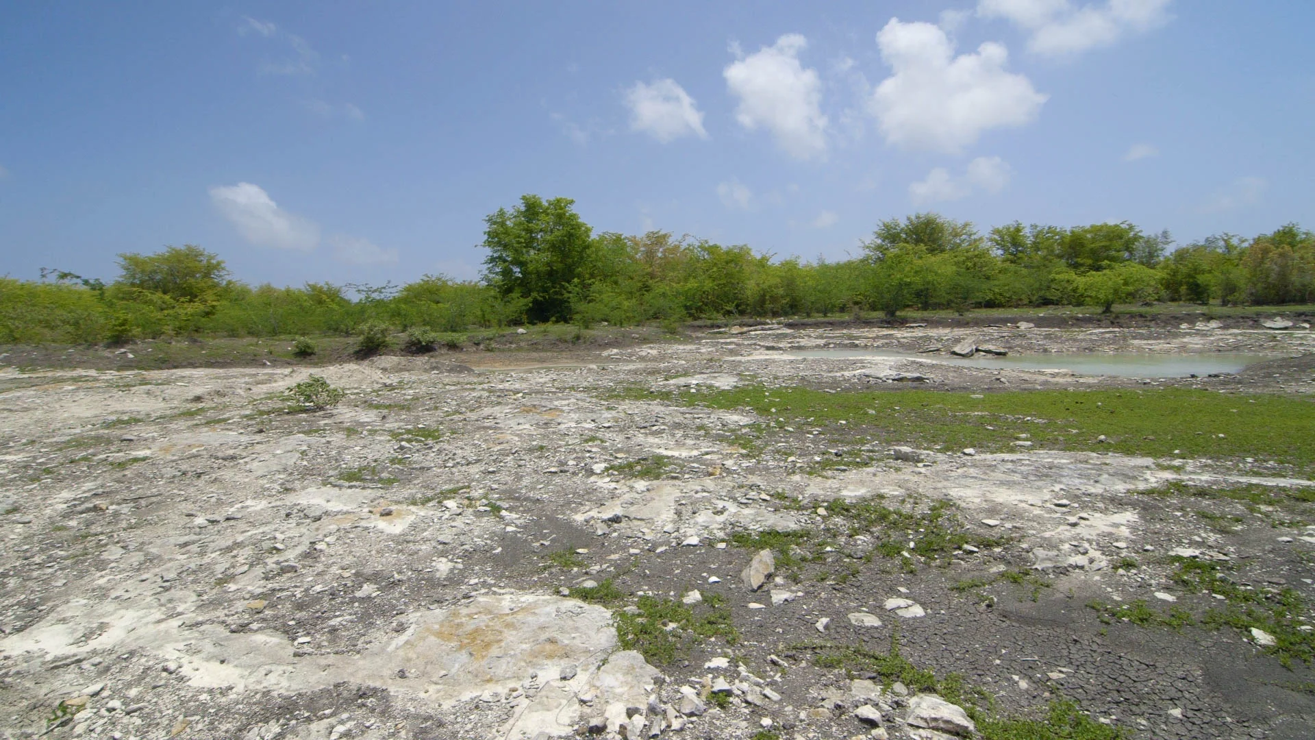 Empty Pond, Barbuda - Video Still, Tom Miller