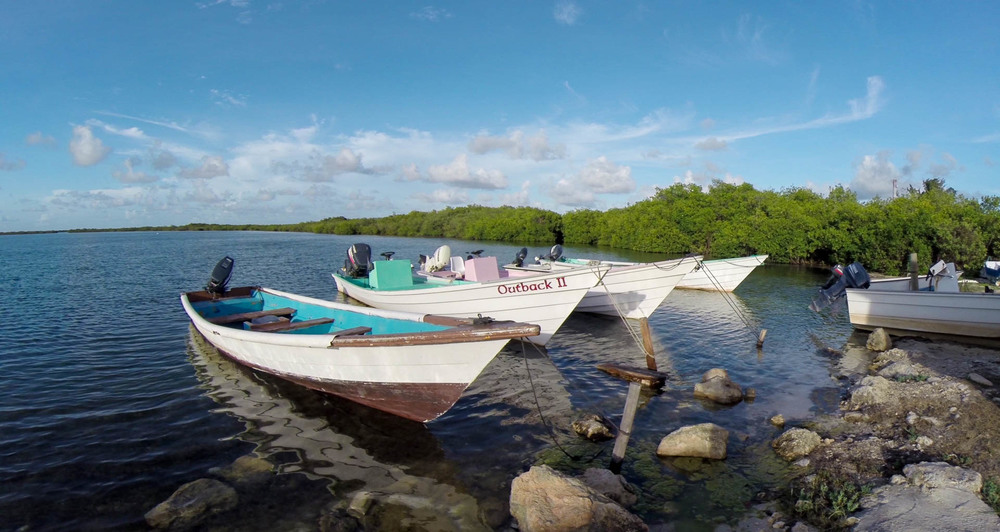 Boats, Codrington Lagoon