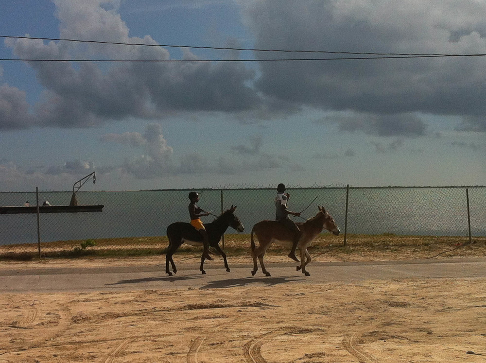 Boys on Donkeys