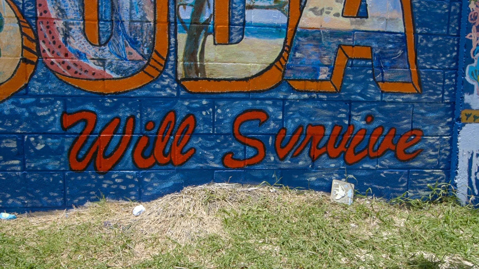 Mural, BRC, Barbuda - video still, Tom Miller