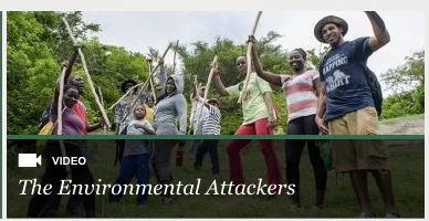 Screen Grab from Ensia's Website