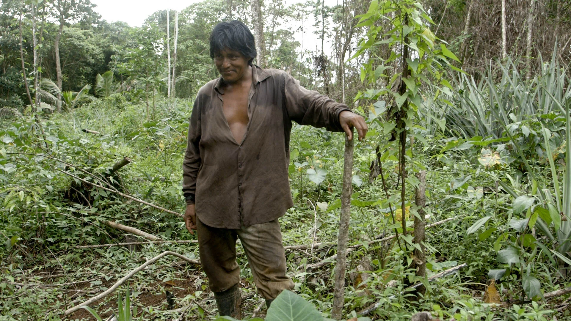 Pop on his finca - video still, Tom Miller
