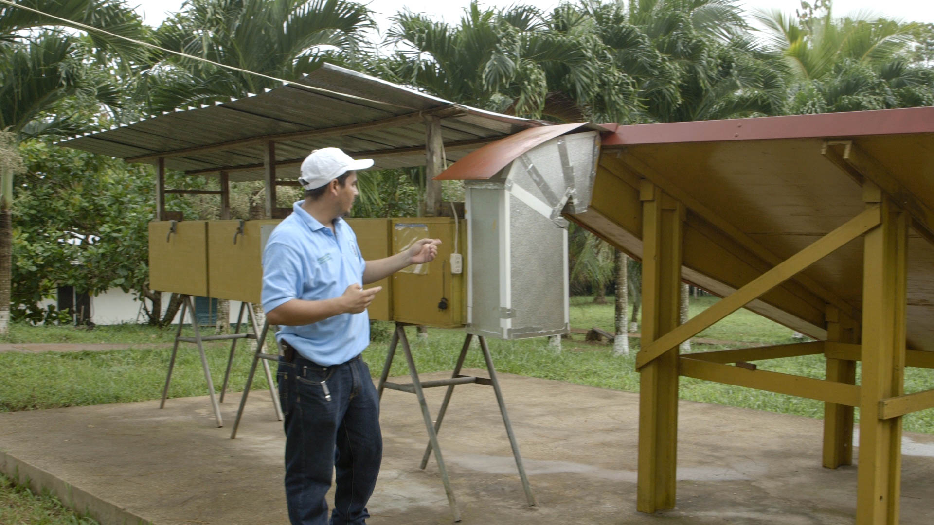 Large Fruit Dryer