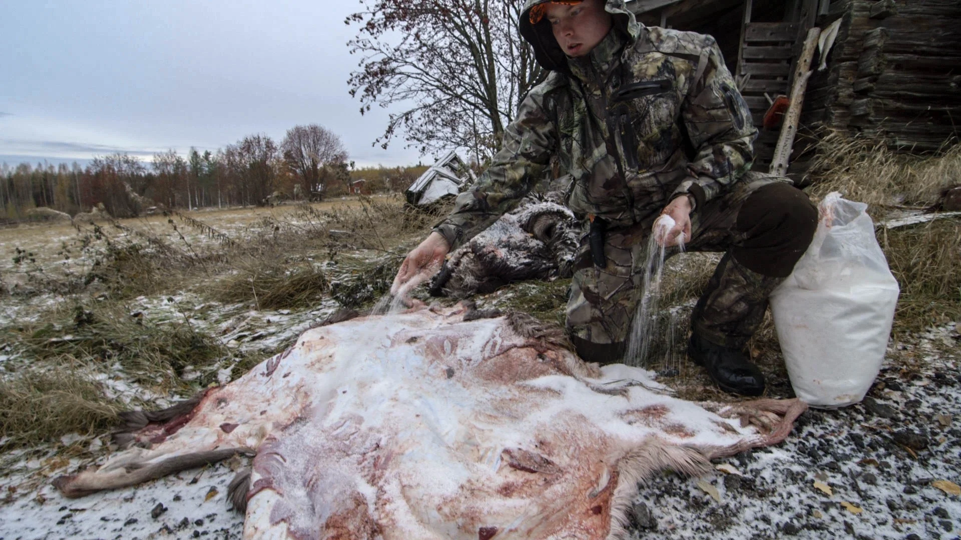 Salting the moose skin - video still, Tom Miller