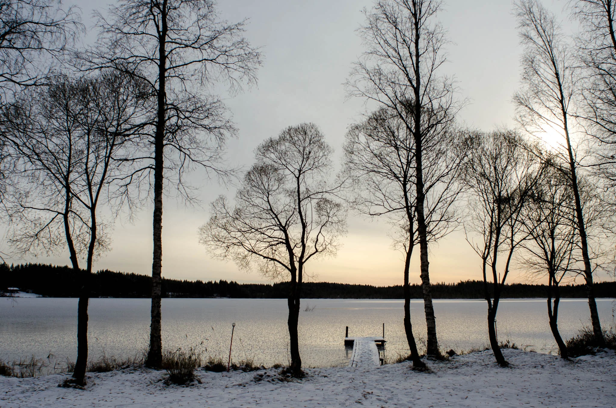 View of the lake Alavi's yard - Still, Tom Miller