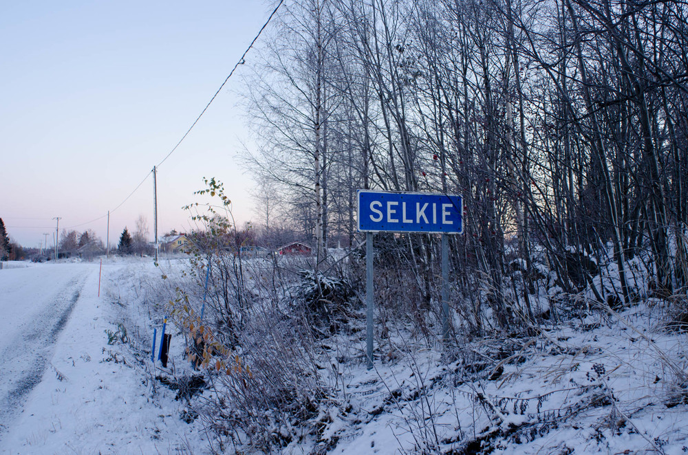 Selkie Sign