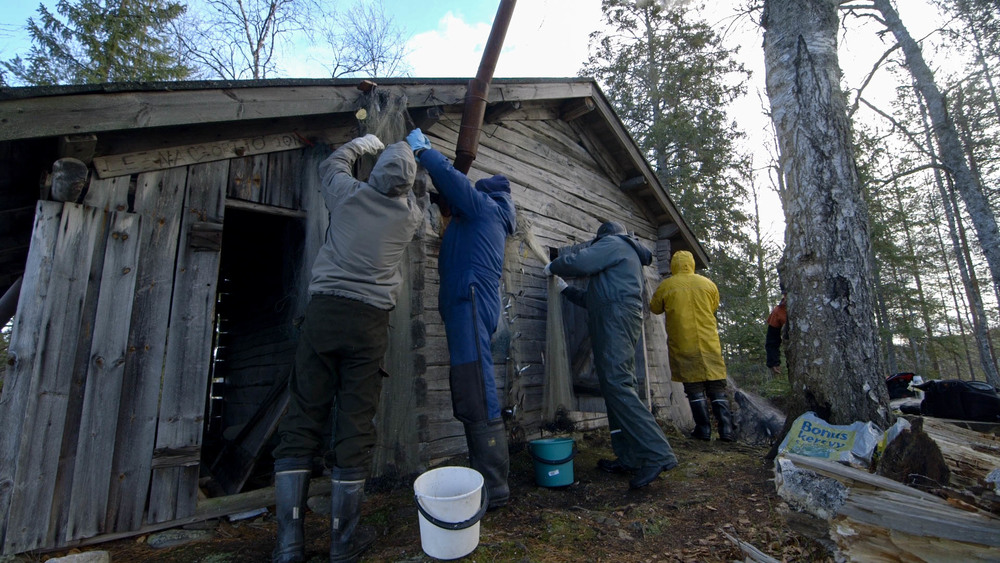 Cleaning Nets