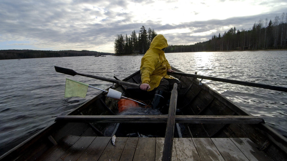 Rowing to the cabin.jpg