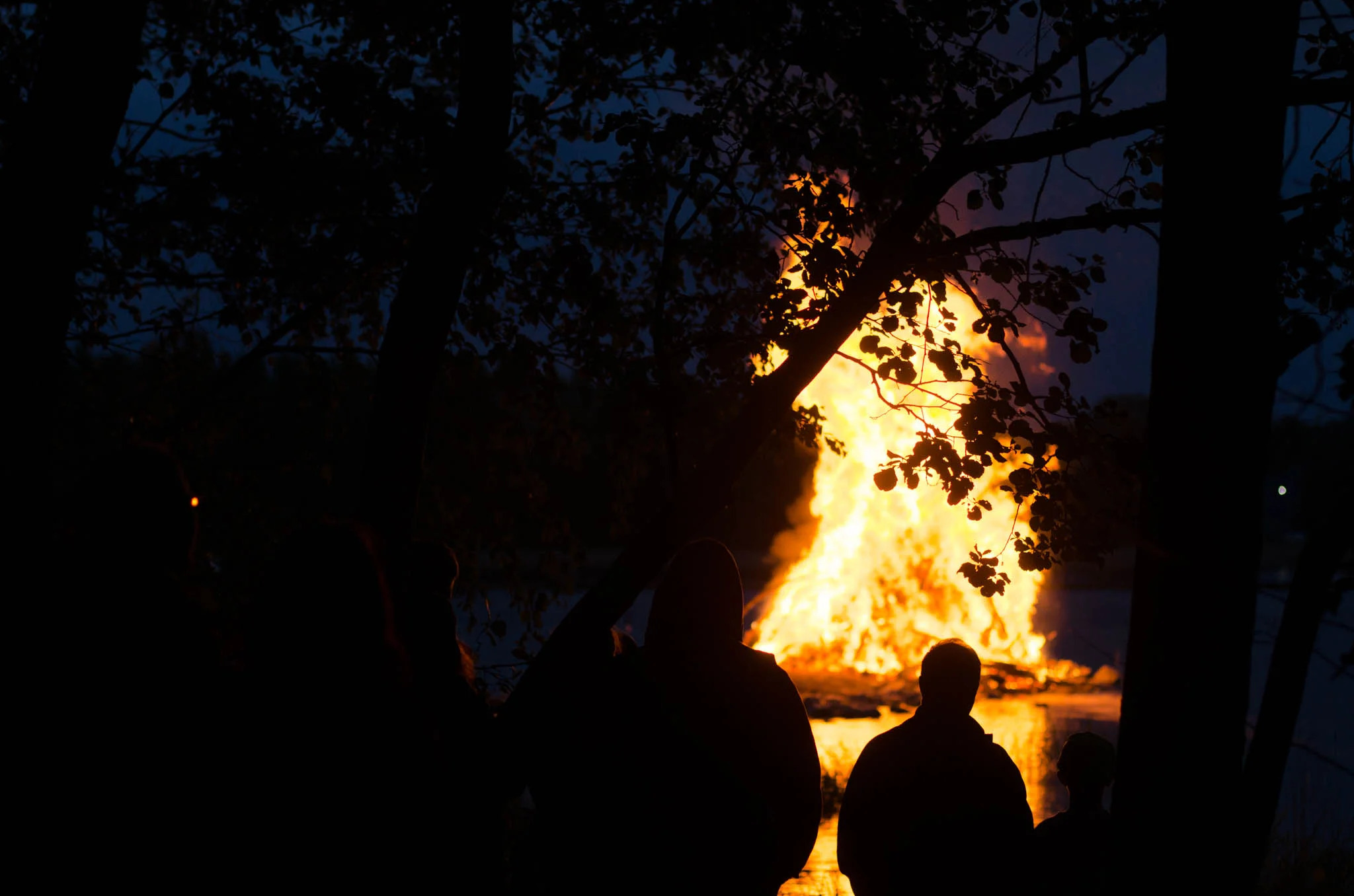 Kokko, Joensuu