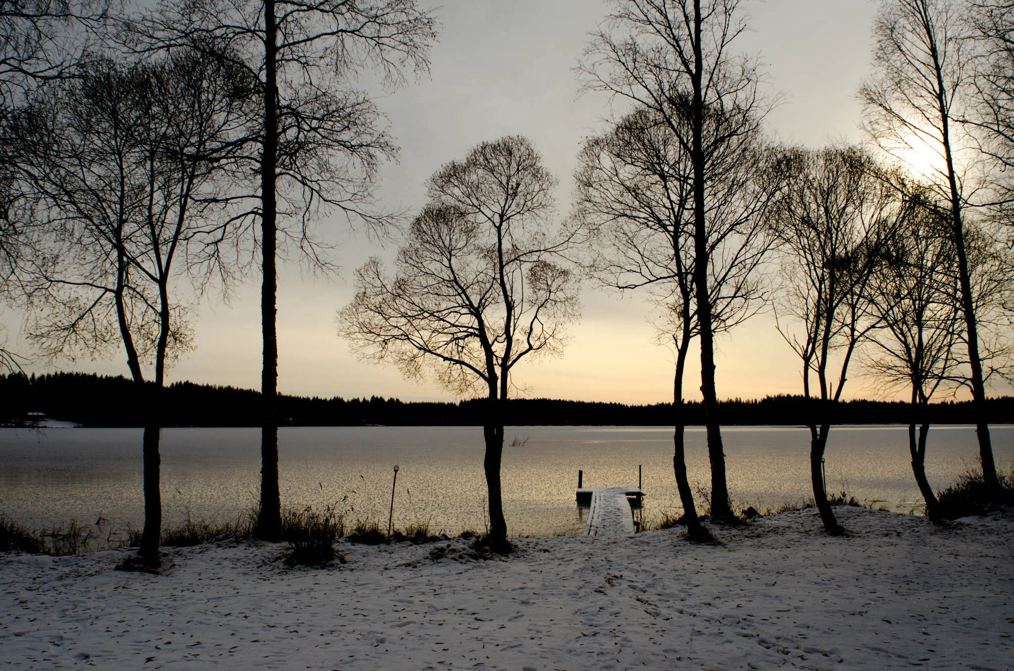 Winter, Alavi