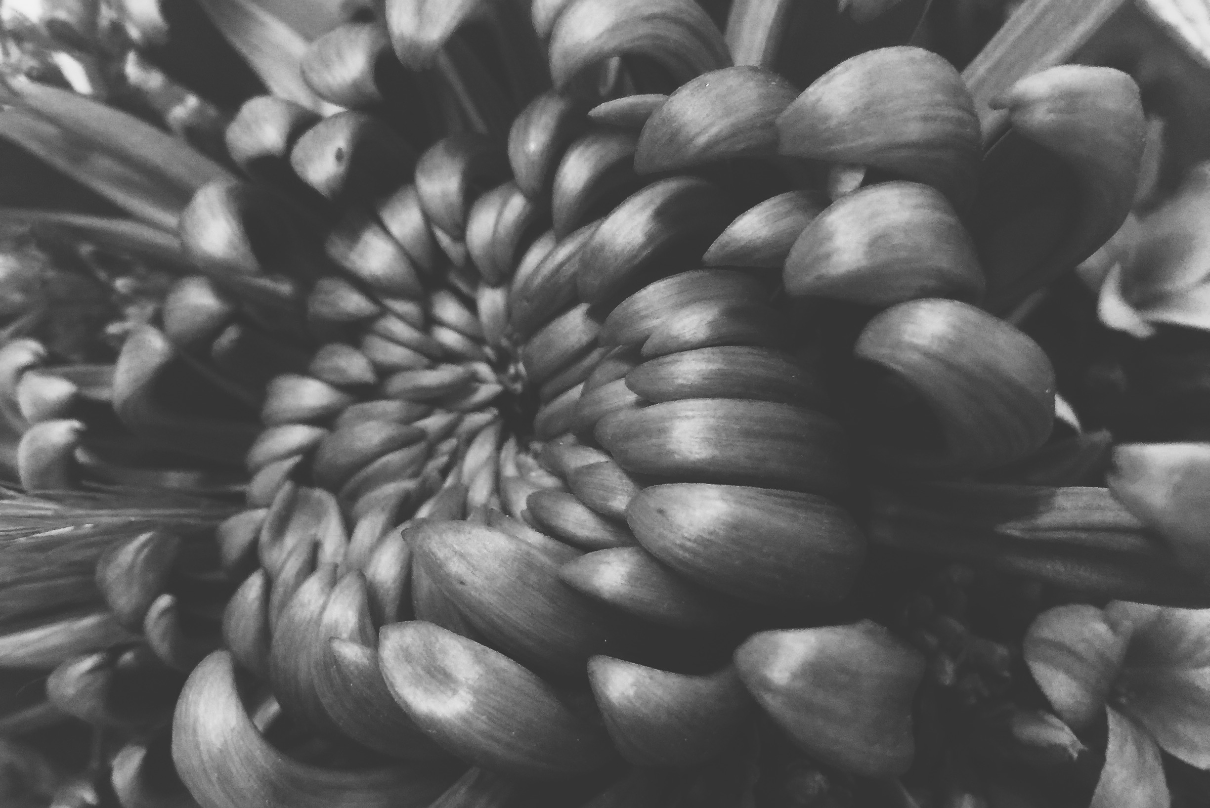 C375E6F7-BA6D-4A49-8F07-043F683B88E2.jpg