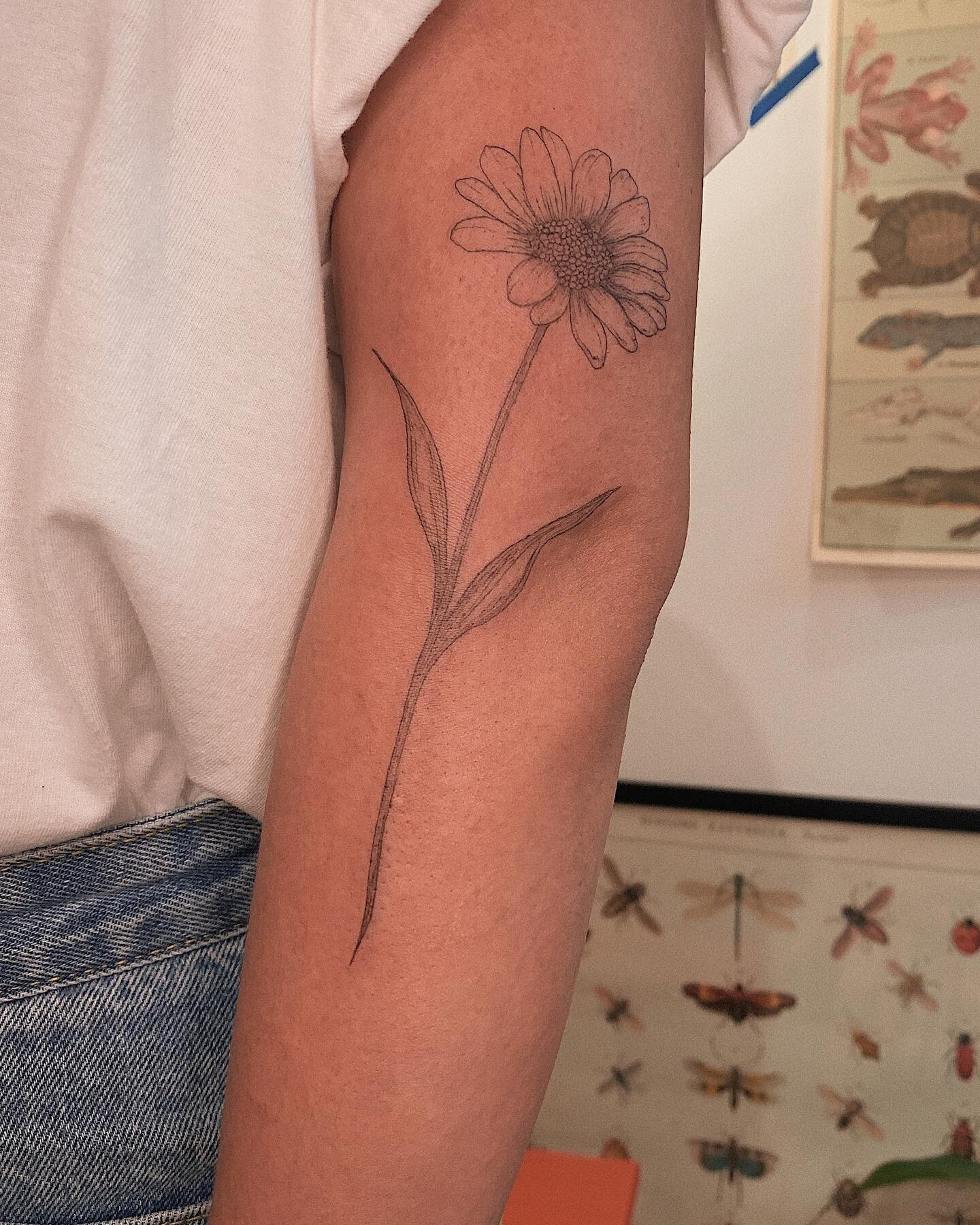 Margarida articulada na Fabi &hearts;️ obrigada pela constru&ccedil;&atilde;o desse movimento e do carinho comigo &amp; meu trabalho!
.
.
.
#daisy #daisytattoo #margarida #tatuagem #tattoosp #tatuagemdelicada #tattooing #flowertattoo #delicatetattoo 