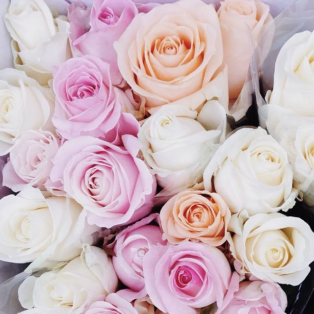 Valentine's 2015