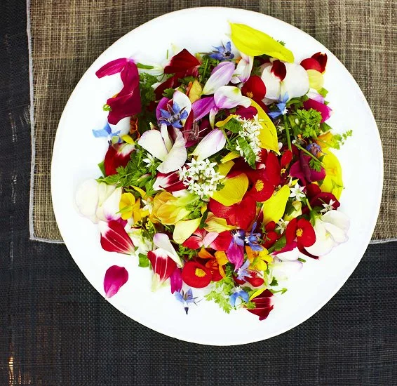 Timeless Style - Amsterdam & Brussels Art Tour