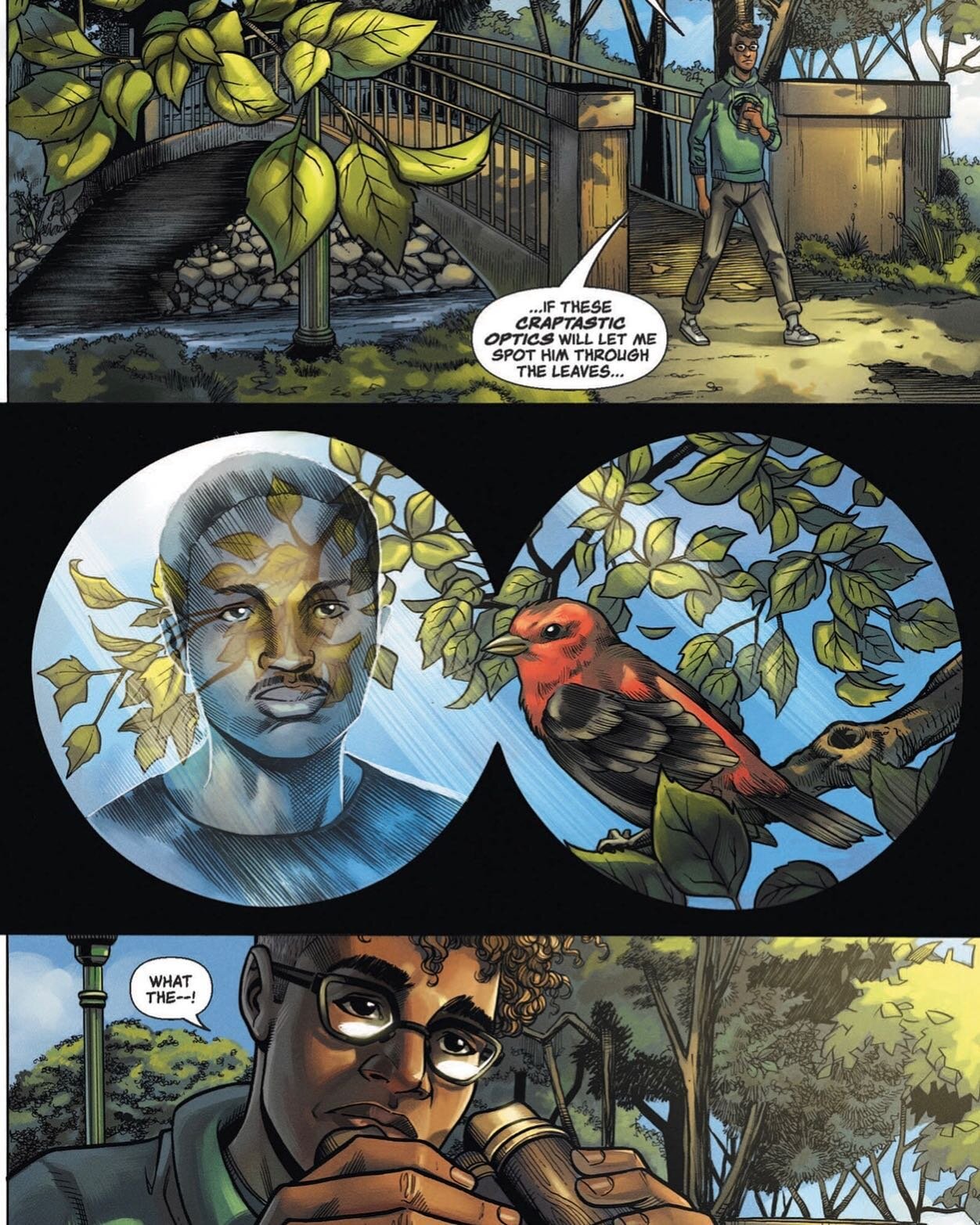 With skills and talent ranging well beyond just birding, Christian Cooper, a pioneering comic book writer uses as inspiration his encounter that fateful day earlier this summer in Central Park to write a graphic digital novel - beautifully illustrate