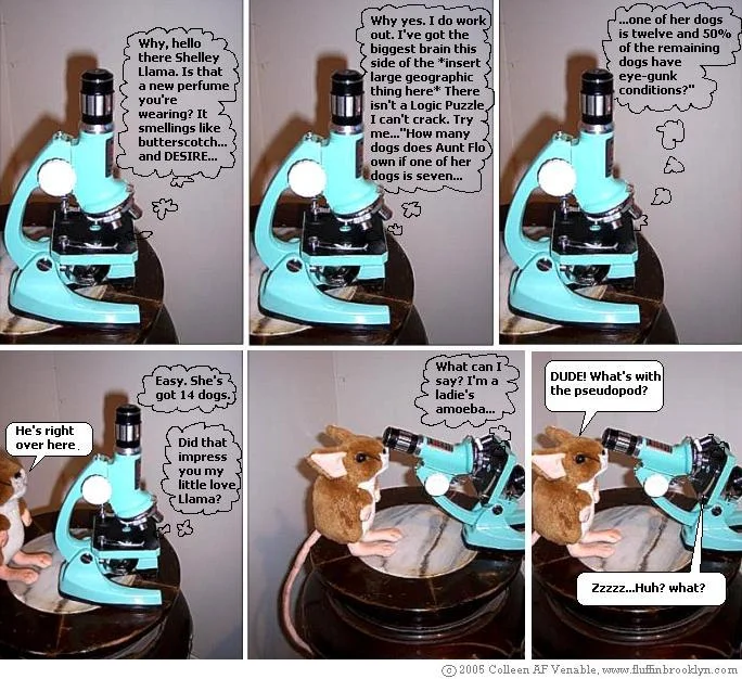 strip5.jpg