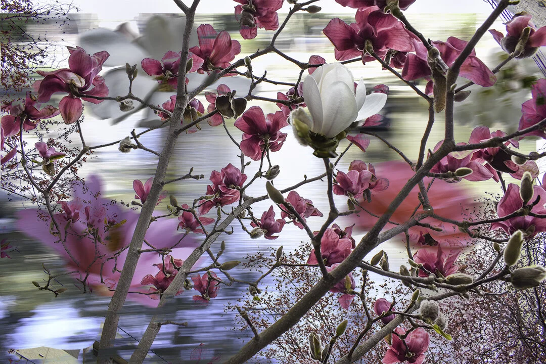 Instagram still river.jpg