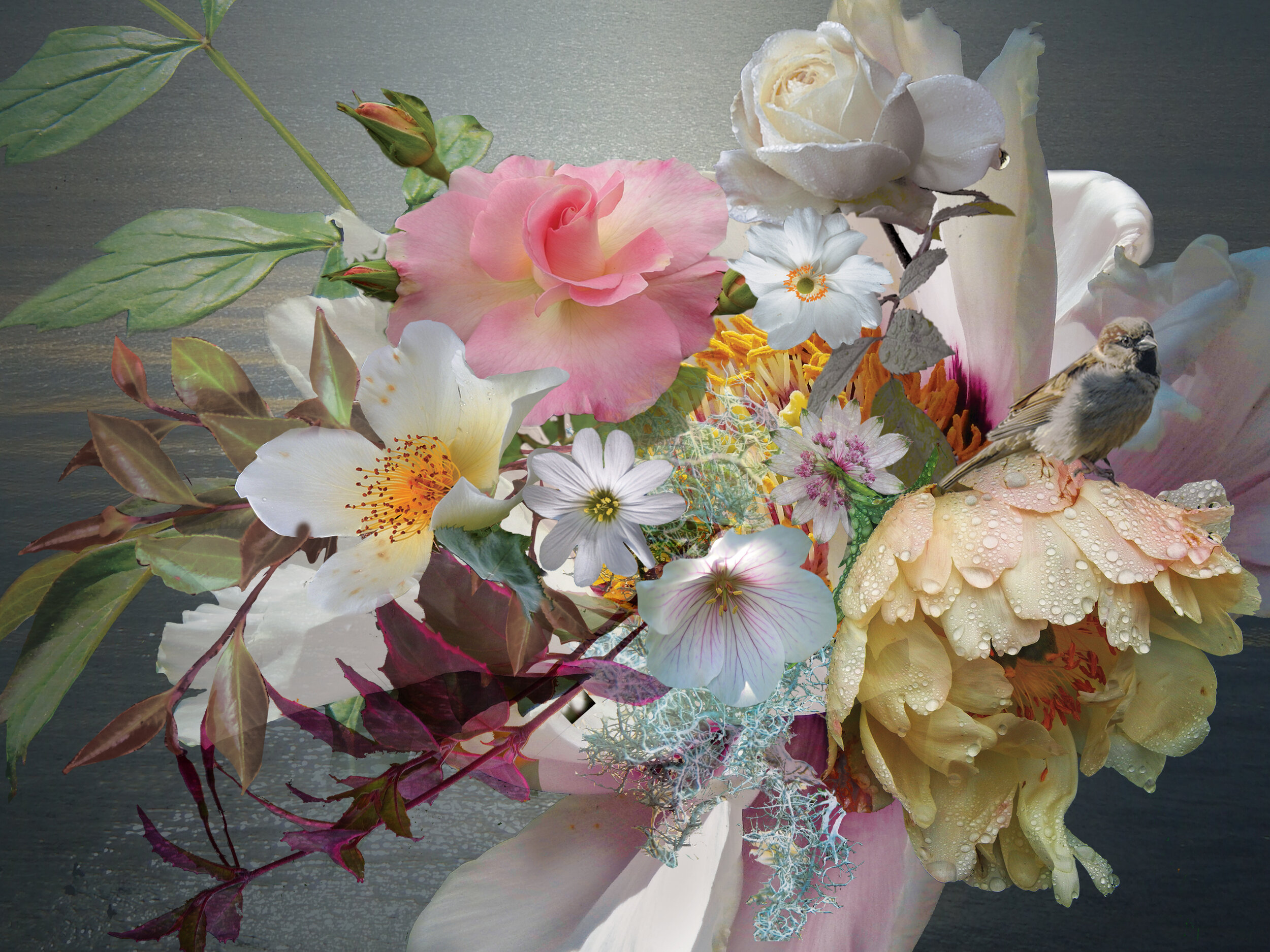 Bird Peony Roses.jpg