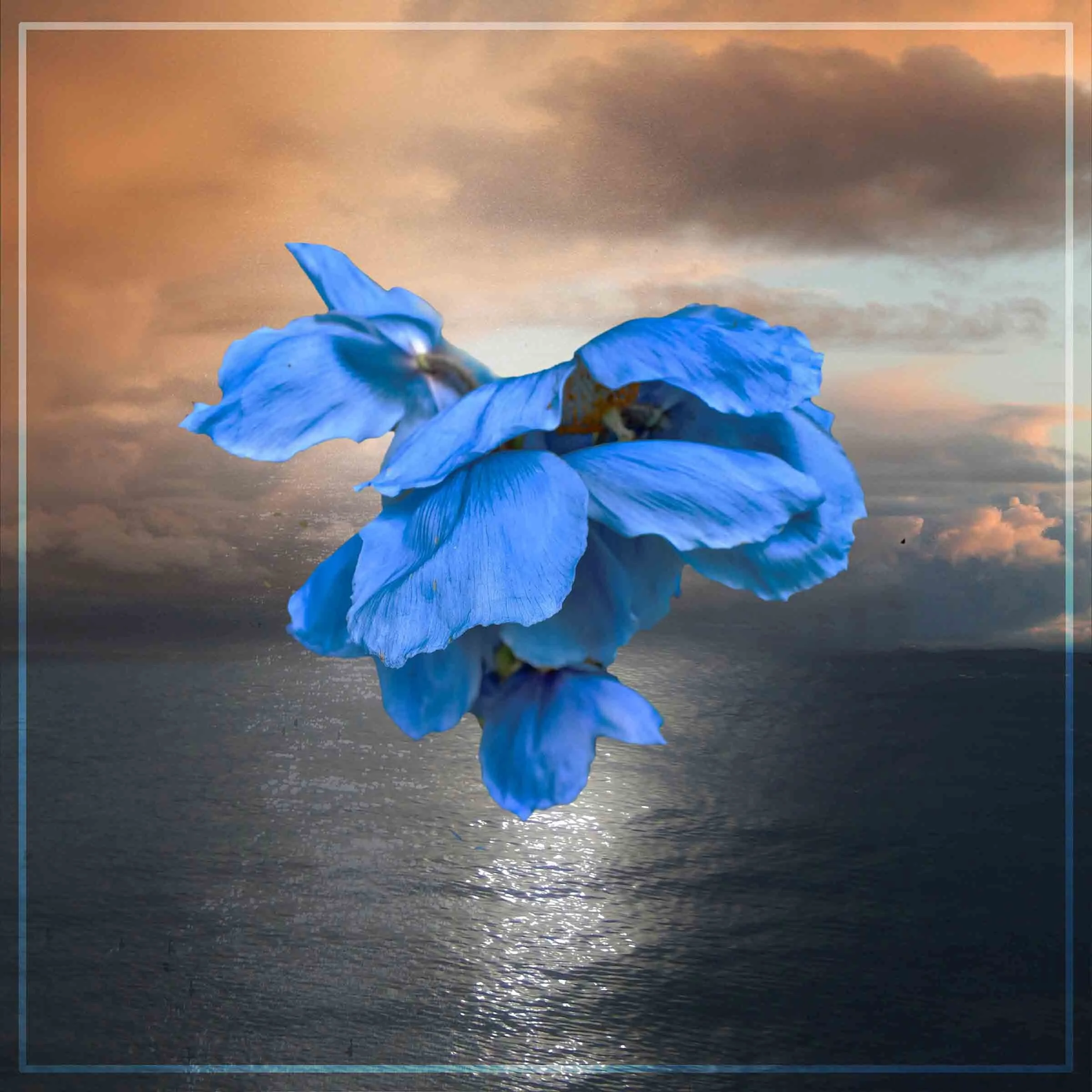 Blue over Sea_1_web.jpg