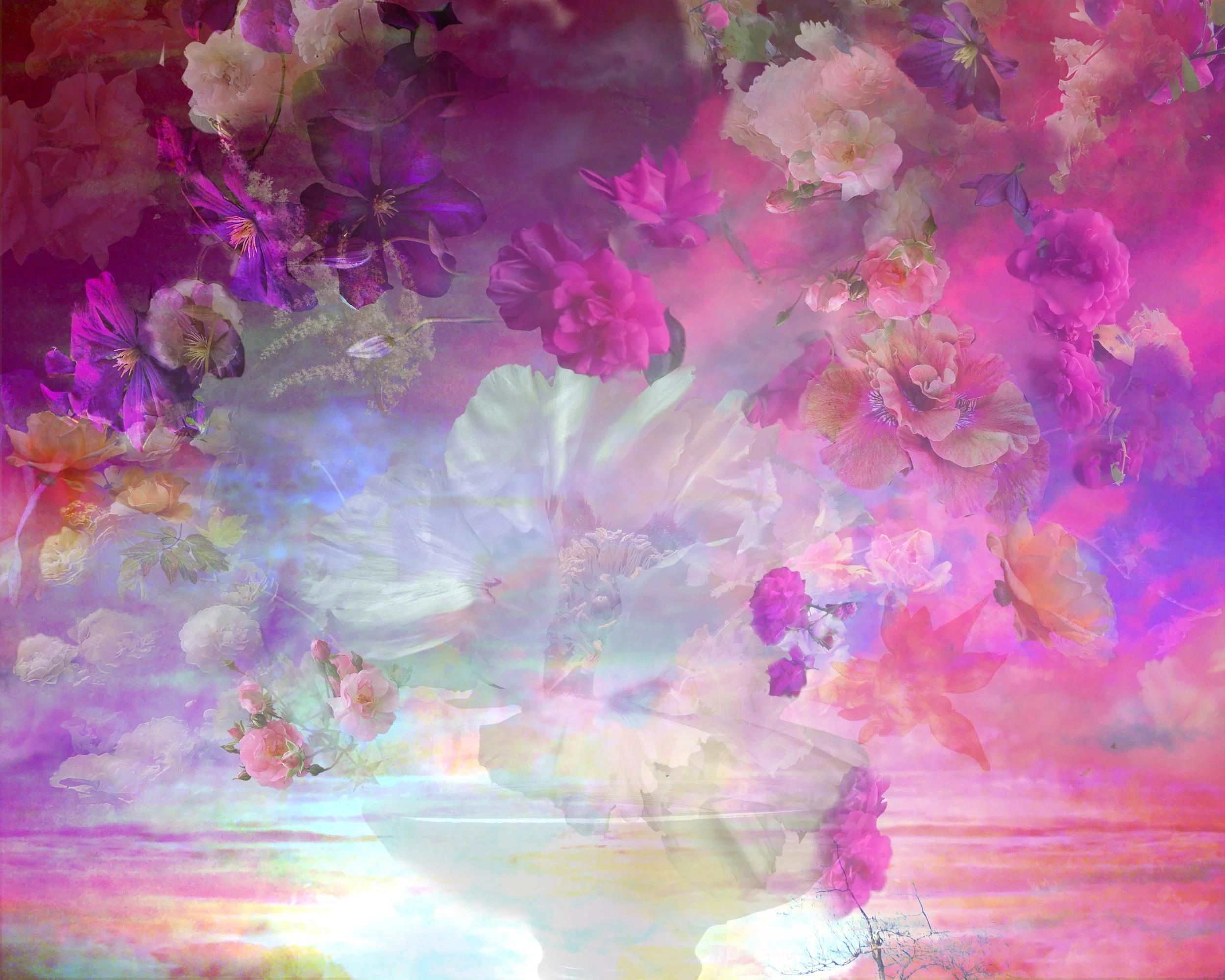 October 22 Shocking Pink sky.jpg