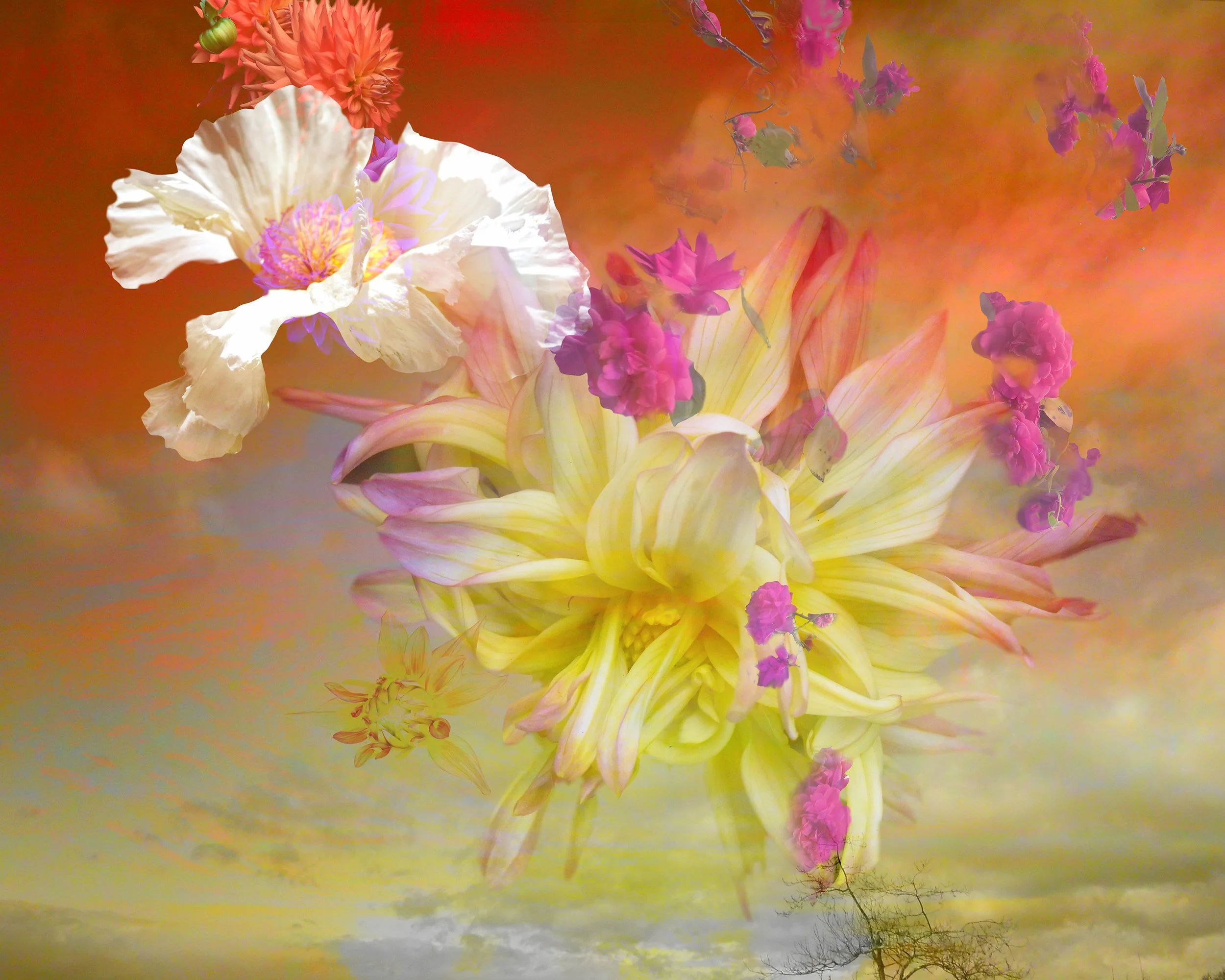 8x10 OrangePastel 01.jpg