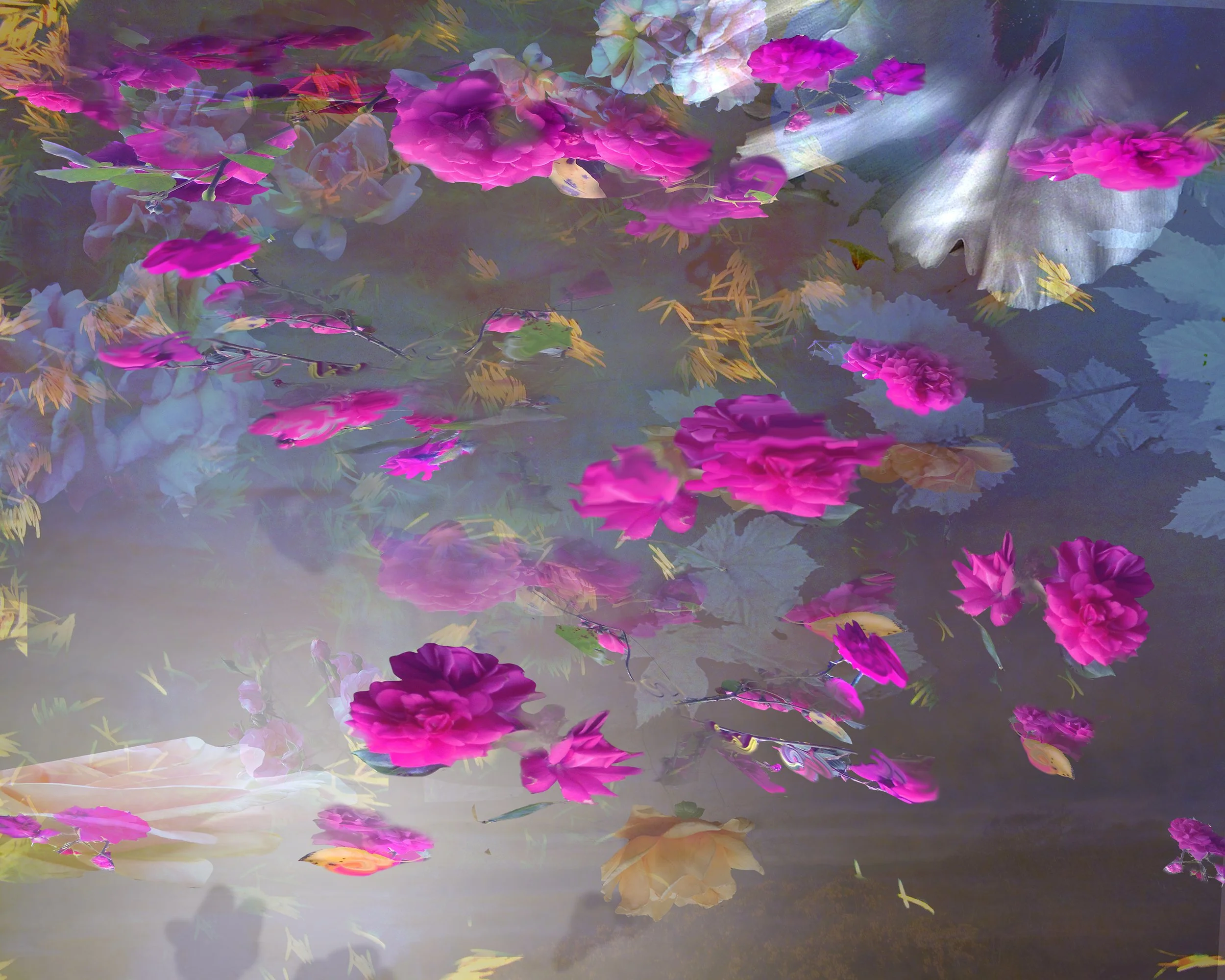 8x10 under lit bluesky.jpg