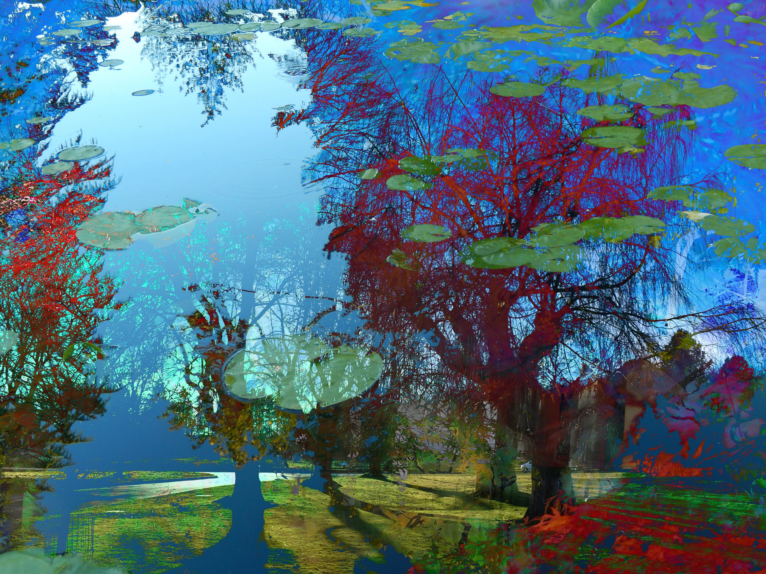 Red Trees palimpset.jpg