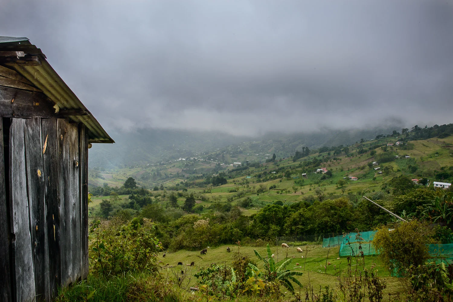 Room with a View