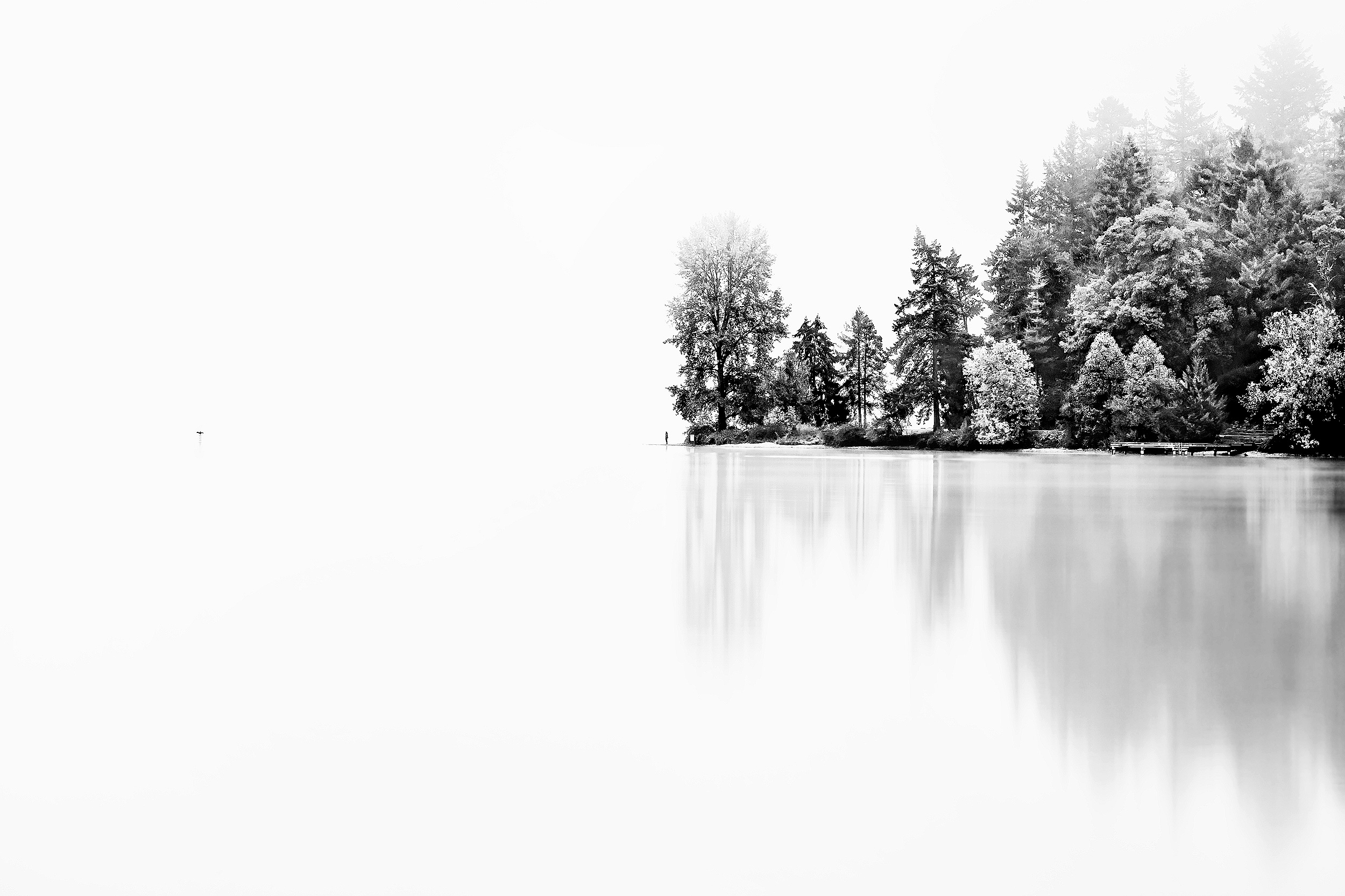North Point, Seward Park. Seattle, Washington