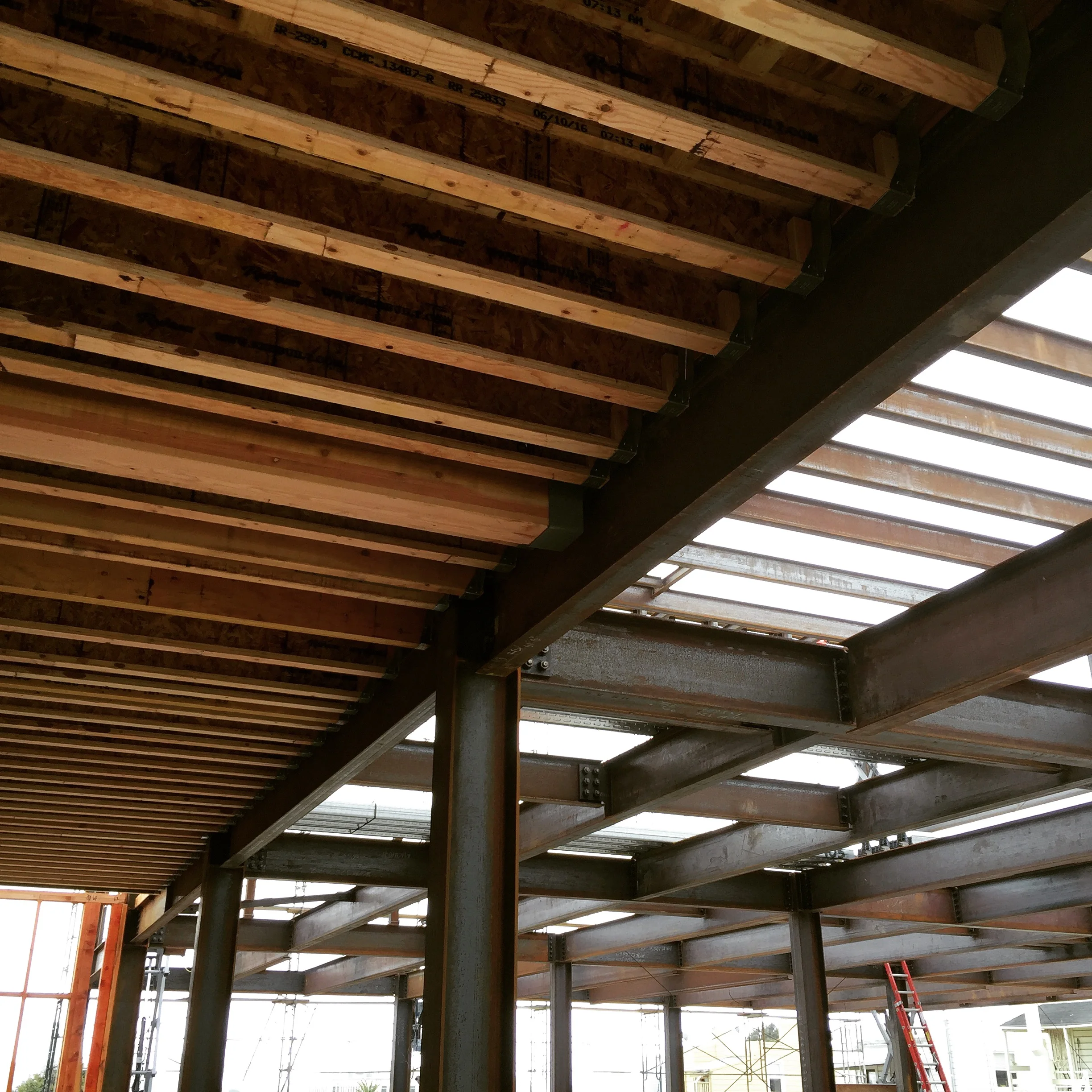 2016-08-17 10.15.31-1.jpg