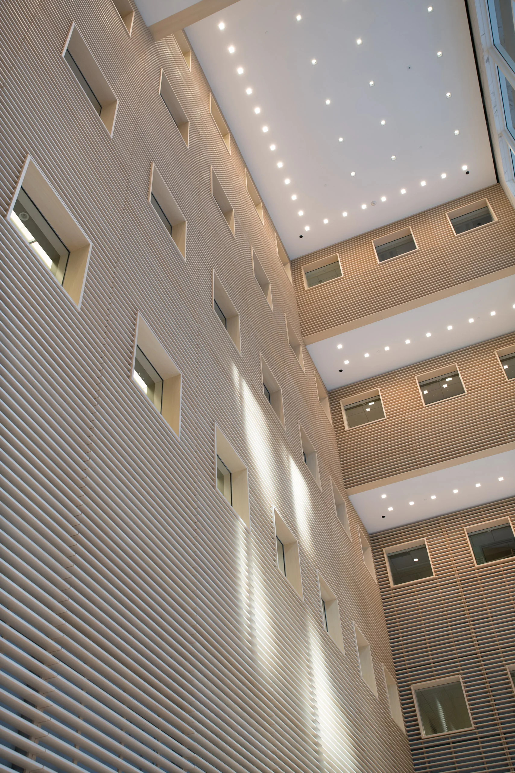 180215_Tishman-687.jpg