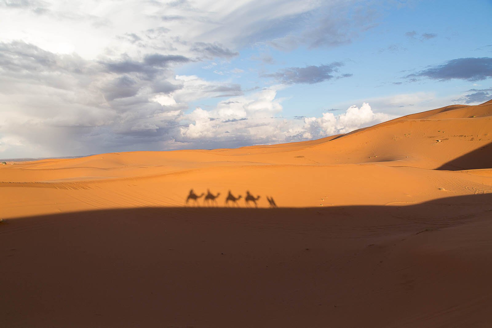 MOROCCO-20-1.jpg